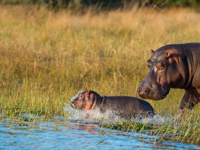 16-day Zambia and Malawi Livingstone Trail (Accommodated)