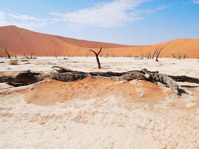 21-day Cape Town to Victoria Falls Grand Explorer (Accommodated)