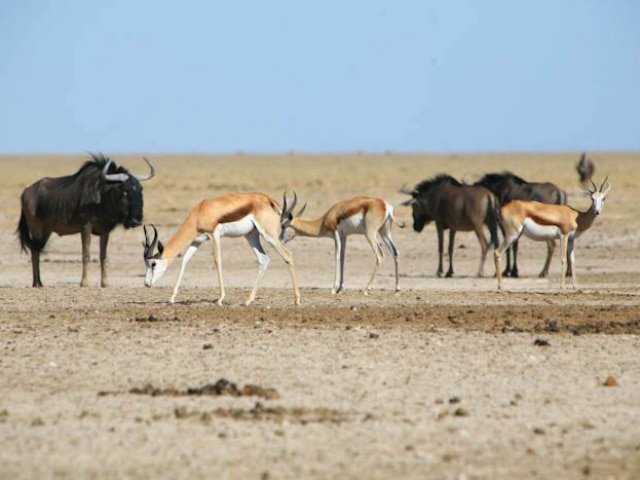 13-day Cape town to Windhoek Grand Explorer (Accommodated)