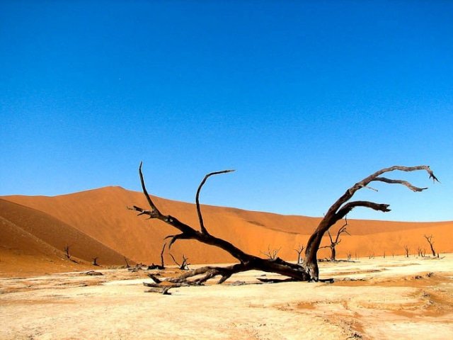 13-day Cape town to Windhoek Grand Explorer (Accommodated)