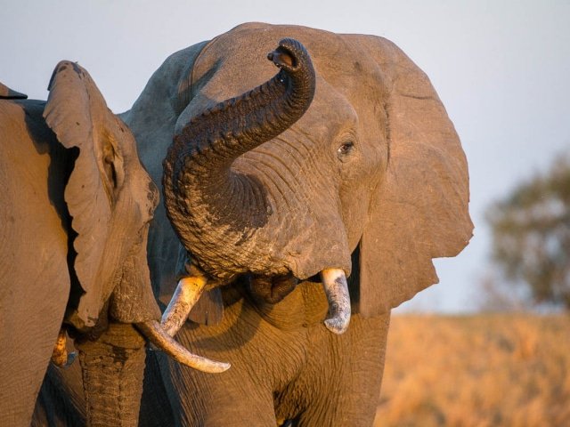 17-day South African Rainbow Route (Accommodation)