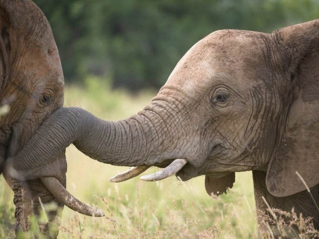 17-day South African Rainbow Route (Accommodation)