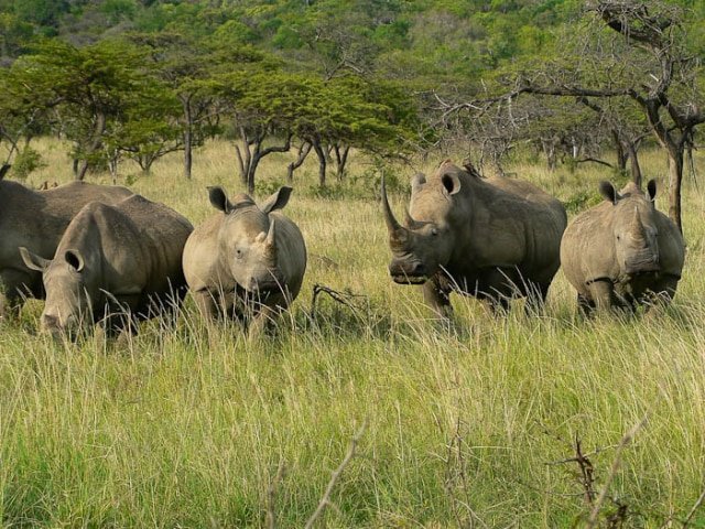 14-day Walking South Africa (Accommodated)