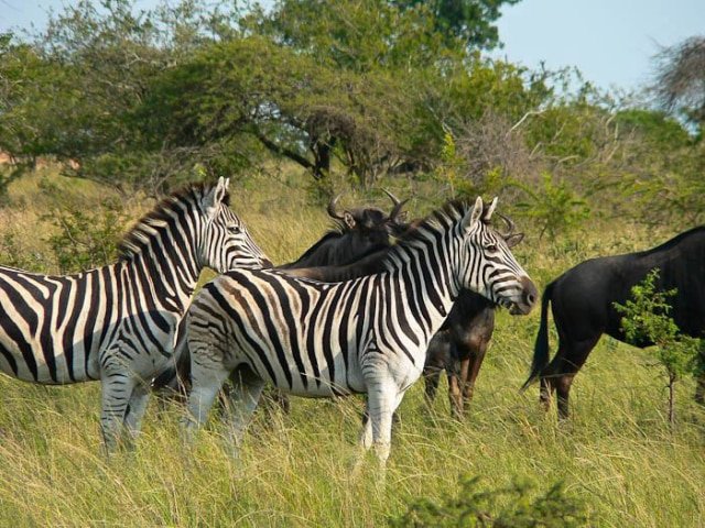 14-day Mozambique and Kruger Beach and Bush (Accommodated)