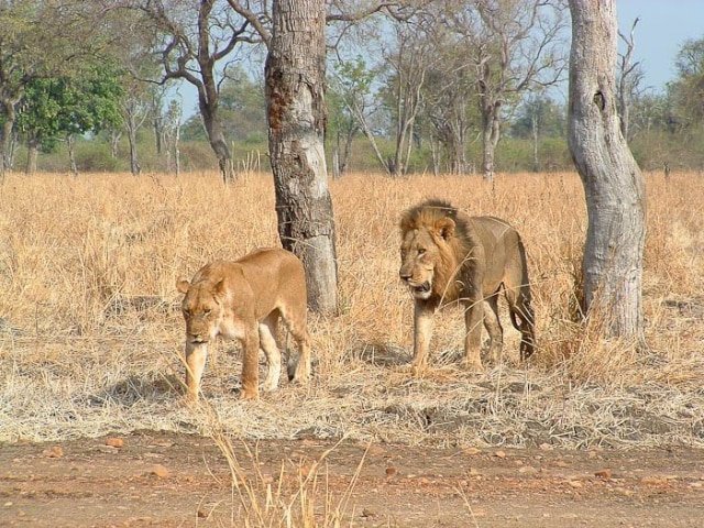 SSNZ  22-day Malawi, Zambia &amp; Mozambique Trade Route (Camping)