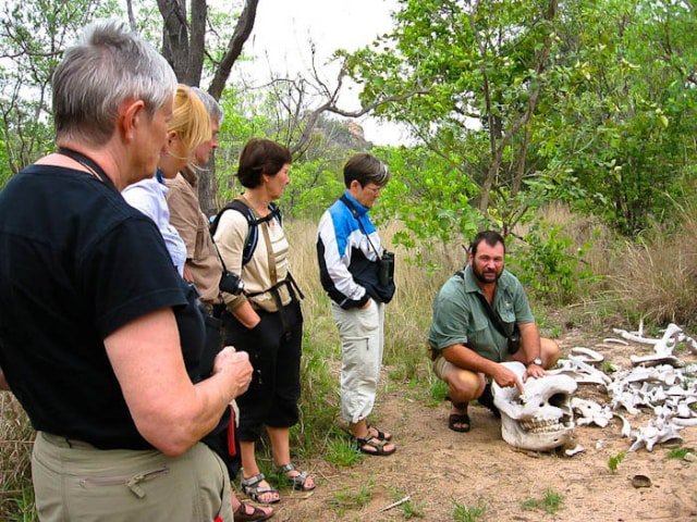 16-day Zimbabwe  Botswana Game Tracker (Accommodated)