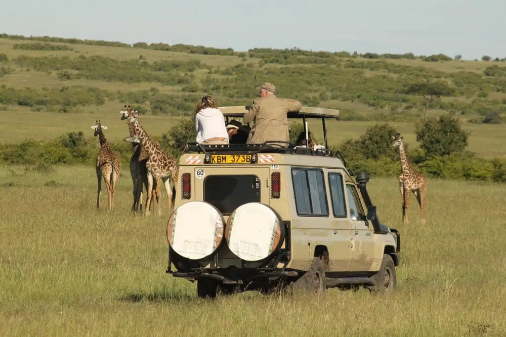 10-day East African Migration Explorer
