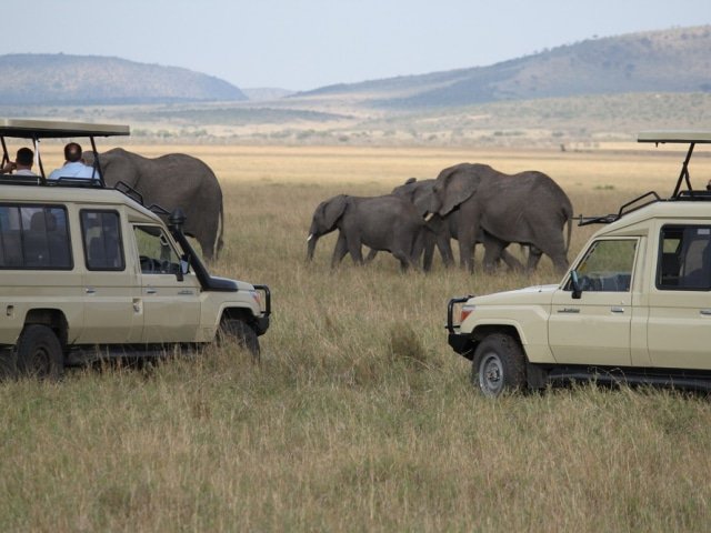 Safari Vehicle