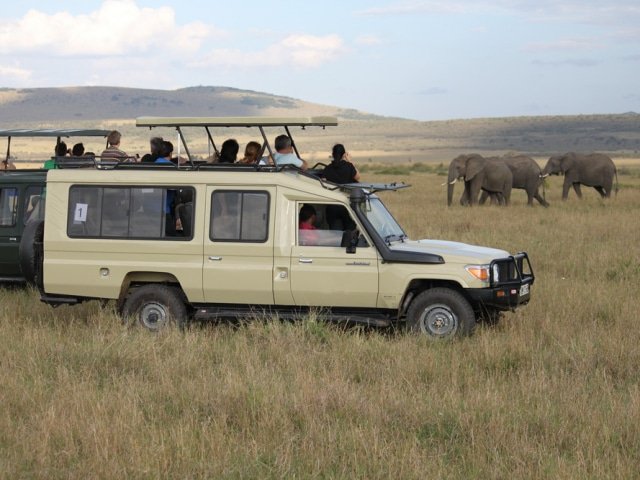 Safari Vehicle