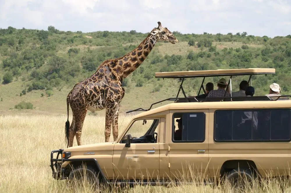 9-day Splendours of Kenya