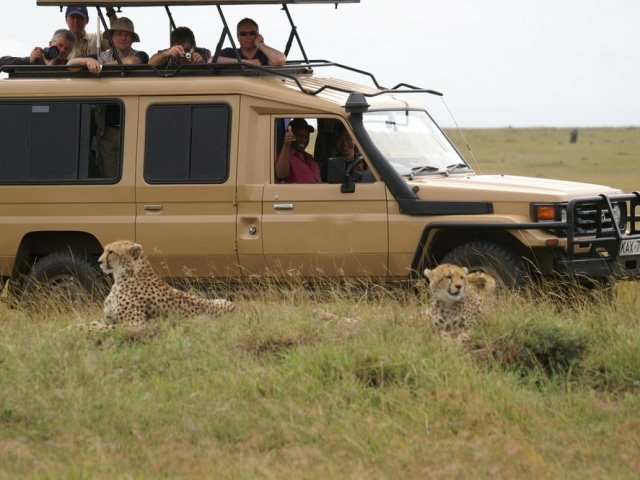 Safari Vehicle