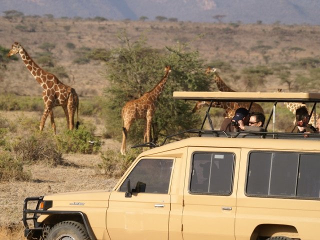 Safari Vehicle