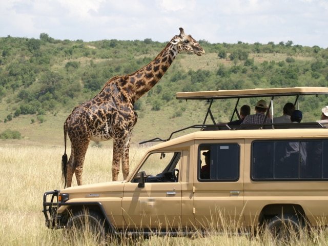 Safari Vehicle