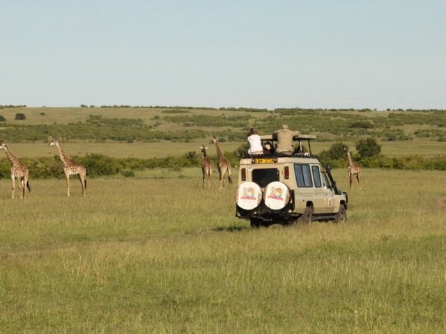 Safari Vehicle