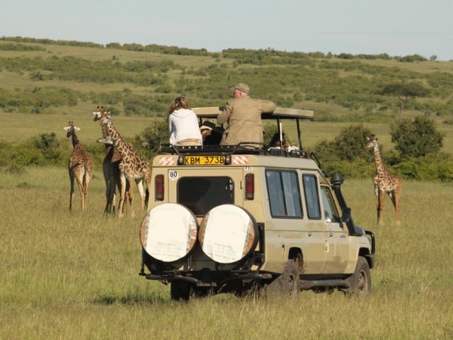 Safari Vehicle