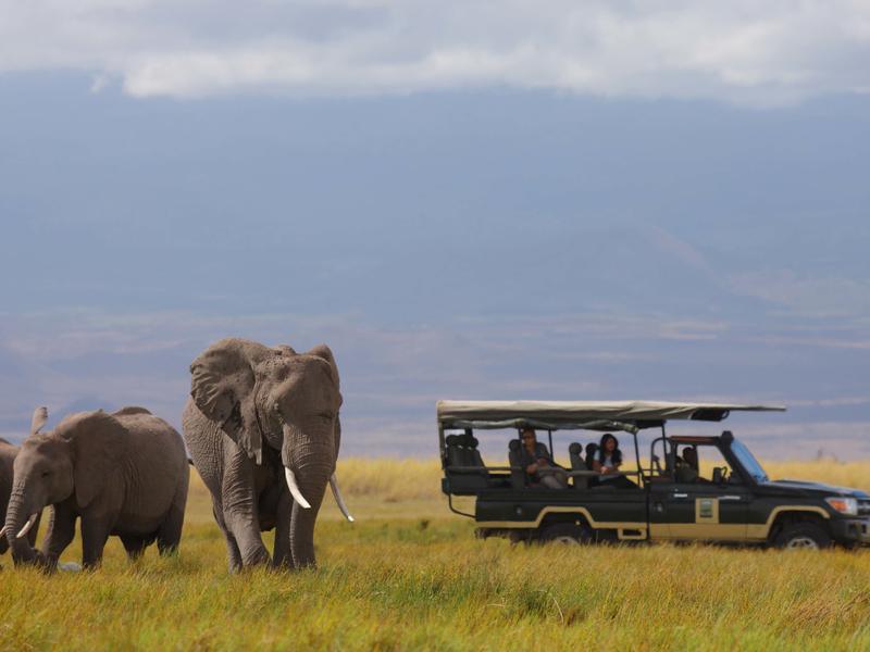 Tortilis Camp, Amboseli National Park, Kenya