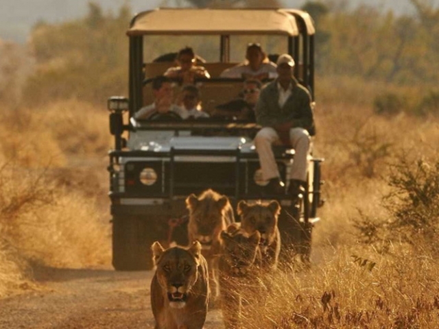 Great Kruger, South Africa Great Kruger, South Africa