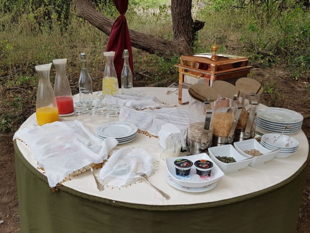Bush breakfast Bush breakfast