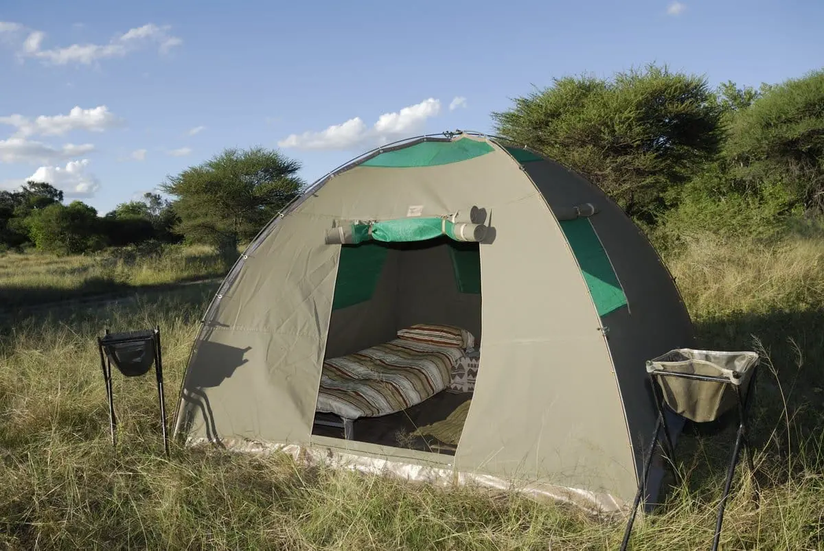 10-day Highlights of Botswana