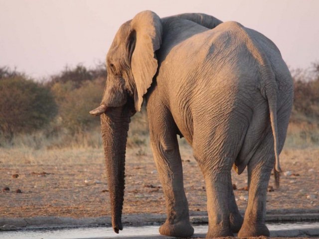 14-day Namibia Experience (Camping)