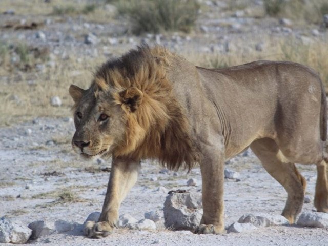 14-day Namibia Experience (Camping)