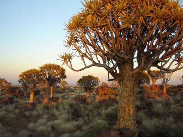 14-day Namibia Experience (Camping)