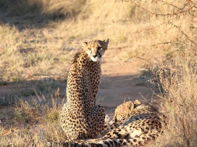 14-day Namibia Experience (Camping)