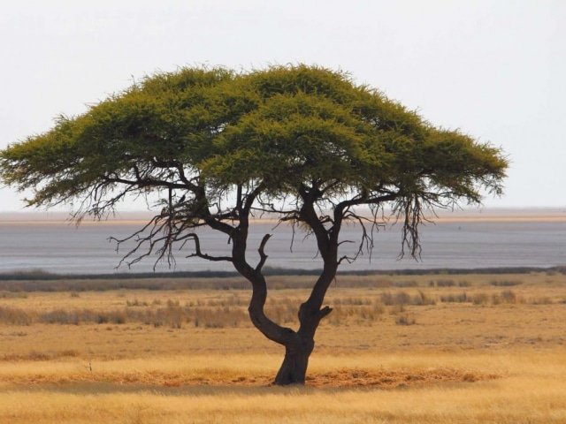 14-day Namibia Experience (Camping)