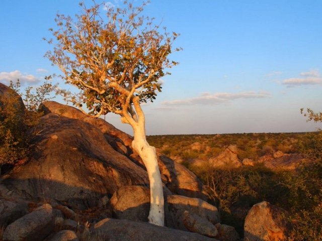 14-day Namibia Experience (Camping)