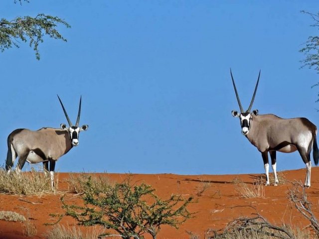 14-day Namibia Experience (Camping)