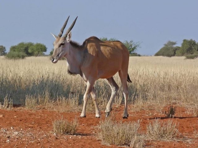 14-day Namibia Experience (Camping)