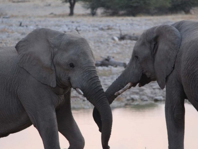 7-day Northern Namibia Adventure Camping