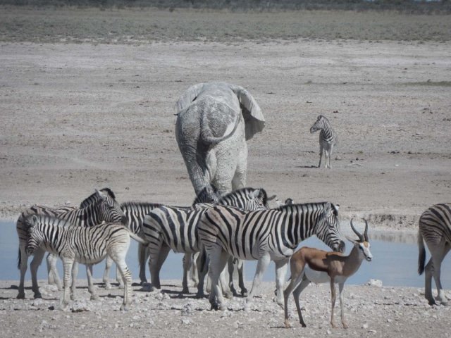 7-day Northern Namibia Adventure Camping