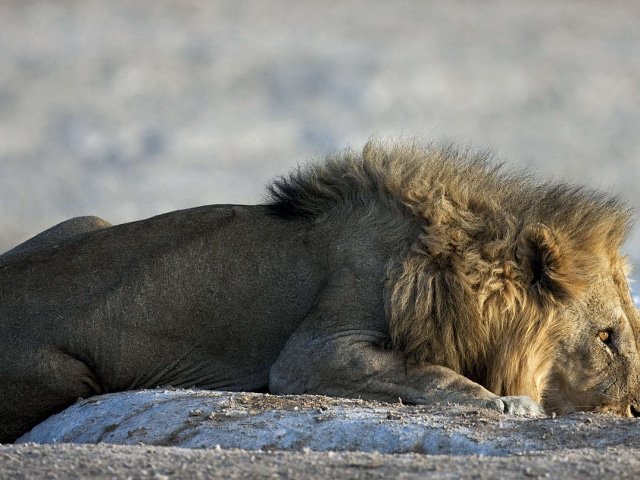 7-day Northern Namibia Adventure Camping