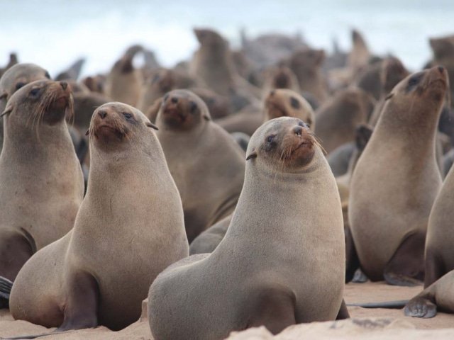 7-day Northern Namibia Adventure Camping