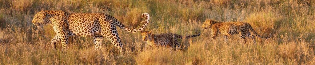 South Africa