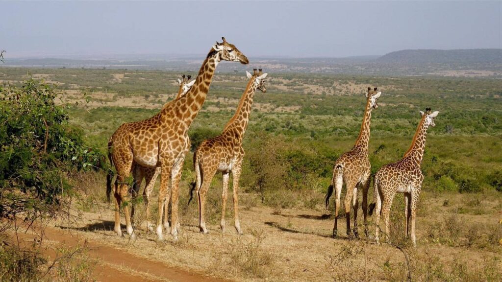 Kenya
