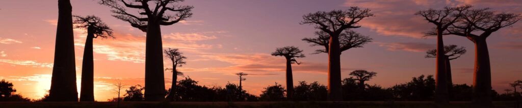 Madagascar