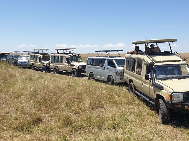 Vehicle congestion, Masai Mara Game Reserve, Kenya Vehicle congestion, Masai Mara Game Reserve, Kenya