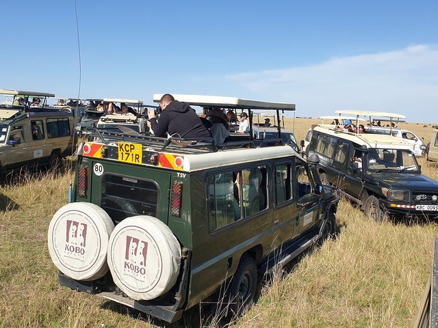 Vehicle congestion, Masai Mara Game Reserve, Kenya Vehicle congestion, Masai Mara Game Reserve, Kenya