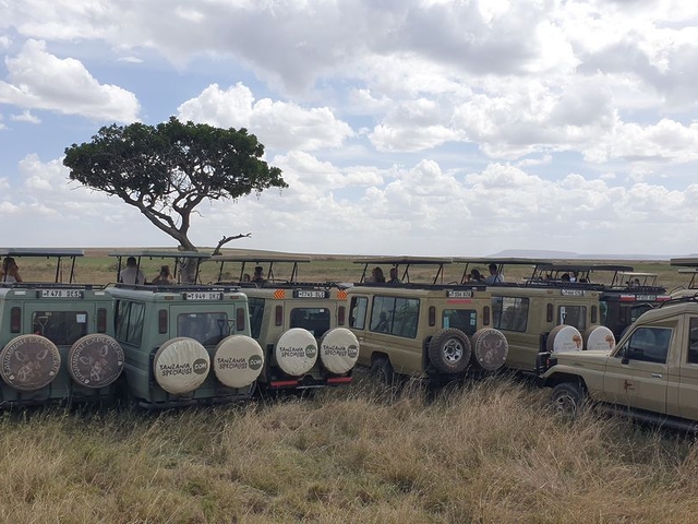 Vehicle congestion, Serengeti National Park, Tanzania Vehicle congestion, Serengeti National Park, Tanzania