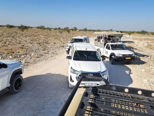 Vehicle congestion, Etosha National Park, Namibia Vehicle congestion, Etosha National Park, Namibia