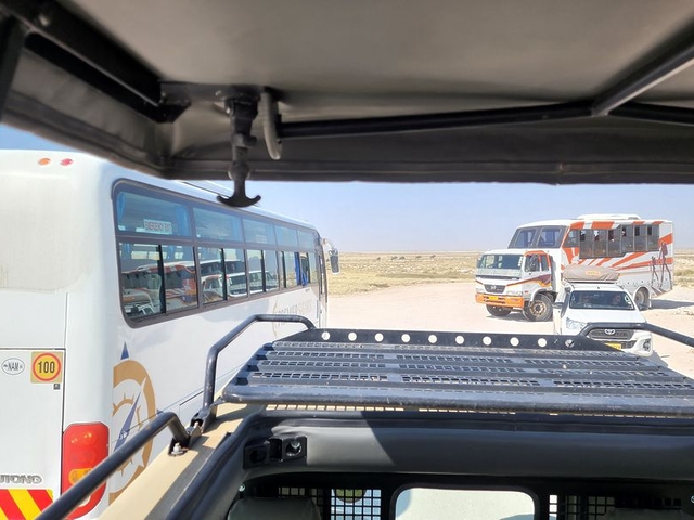 Vehicle congestion, Etosha National Park, Namibia Vehicle congestion, Etosha National Park, Namibia
