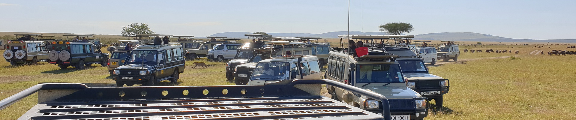 Vehicle Congestion, Masai Mara, Kenya