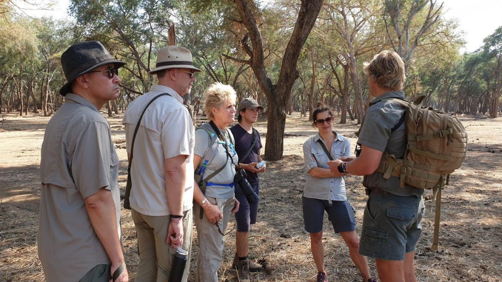 Bush walk, Zambia