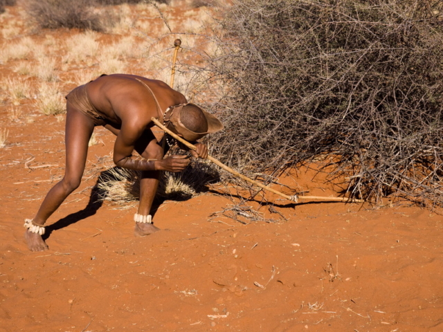 San people (also Saan), or Bushmen. San people (also Saan), or Bushmen.