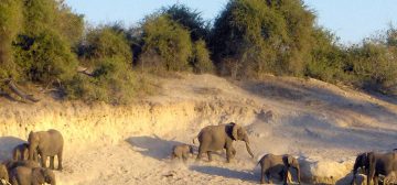 Fully Serviced Camping – Chobe