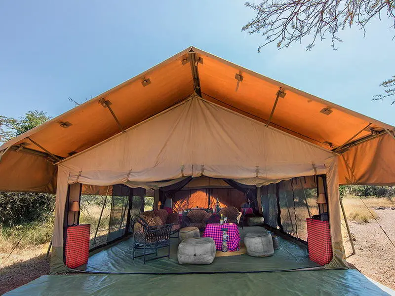 5-day Masai Mara Under Canvas