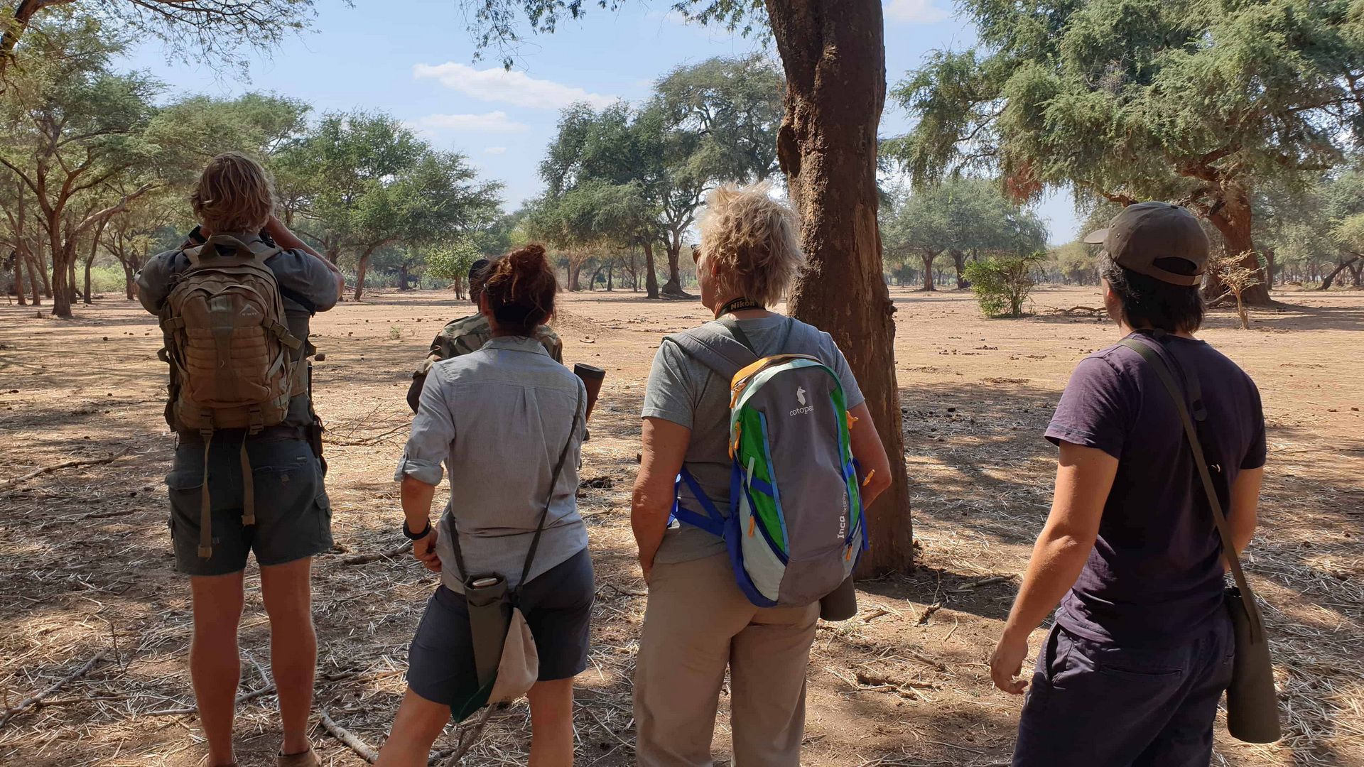 Walking Safaris