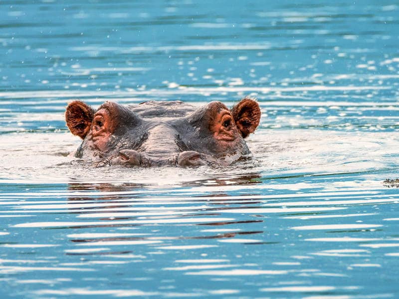 Karatu / Ngorongoro, Tanzania